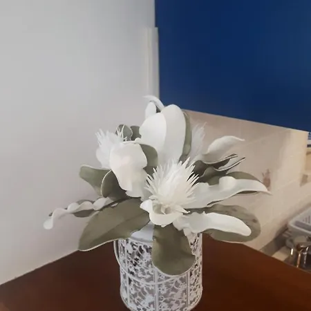 Apartman Terra Rossa *