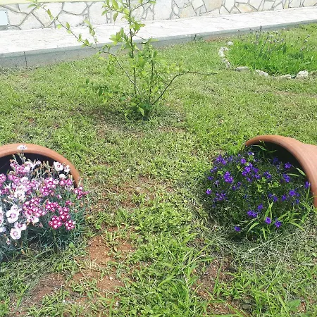 Apartment Terra Rossa *