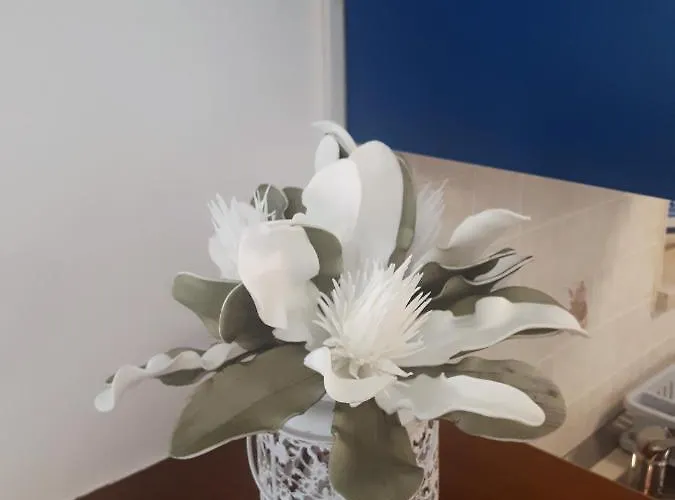 Lejlighed Terra Rossa *