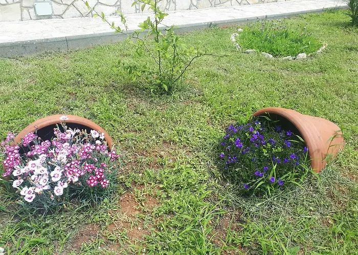 Lejlighed Terra Rossa *